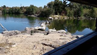 Pharmacie Thibaut de Montauzon Tricot Marie 0