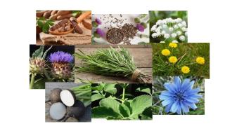 Pharmacie CR CONSEILS 0