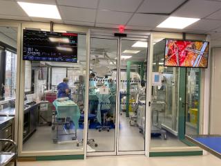 Pharmacie Clinique Vétérinaire HOPia 0