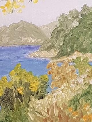 Pharmacie Pharmacie Dore : parapharmacie - prothèses mammaires externes - orthopédie - prescription antibiotiques et vaccins 0