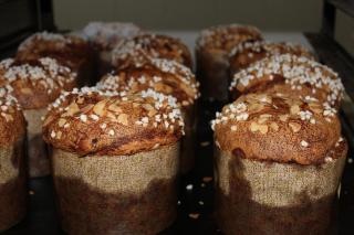 Pharmacie Pharmacia 0