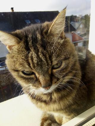 Pharmacie La Pharmacie de Tournes 0