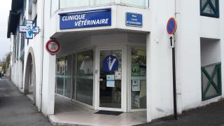 Pharmacie Clinique Vétérinaire ZUBI BURU 0