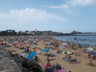 Pharmacie Pharmacie de Socoa 0