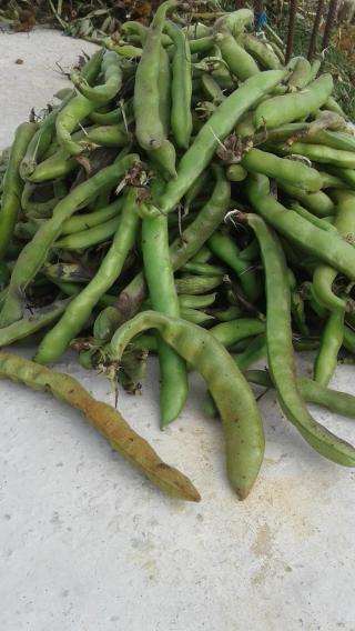 Pharmacie Seral Pharmacie Ngo 0