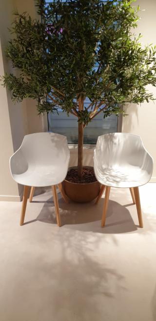 Pharmacie Pharmacie De L'Olivier 0