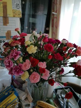 Pharmacie 💊 PHARMACIE DES HAUTES NOUES I Villiers-sur-Marne 94 0