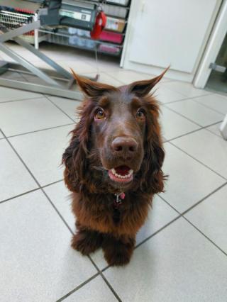 Pharmacie Clinique Vétérinaire Aubagne de la Calypso 0