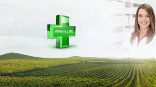 Pharmacie Pharmacie Gruillot 0