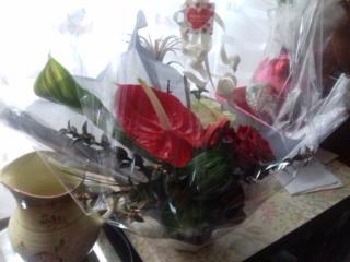 Pharmacie Bretagne 35 0