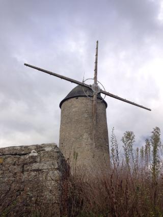 Pharmacie Pharmacie de Lehon, Dr Le Gagne, Dr Lucas 0