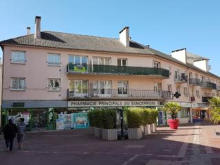 Pharmacie Pharmacie Principale Maurepas 78 1