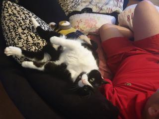 Pharmacie Clinique Vétérinaire Argos 1