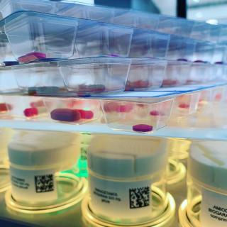 Pharmacie Pharmacie Captain Pharma 0