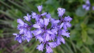 Pharmacie Pharmacie Kellermann 0