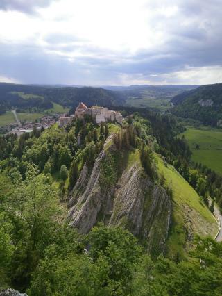 Pharmacie Clinique Vétérinaire du Centre - médecine & chirurgie canine, féline et NAC. 0