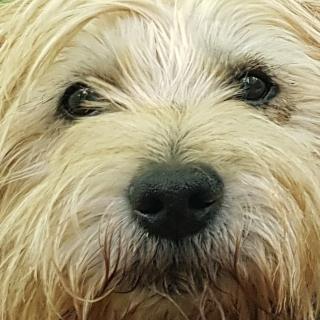 Pharmacie Clinique Vétérinaire Argos 0