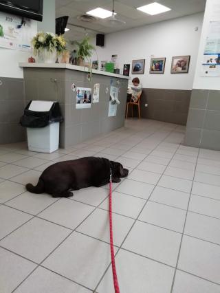 Pharmacie Clinique Vétérinaire 0