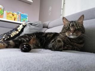 Pharmacie Clinique Vétérinaire Des Chênes 0