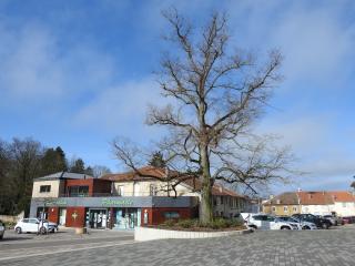 Pharmacie Pharmacie Laurent 1