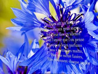 Pharmacie Pharmacie Faubourg Du Cirque Romain 0