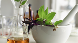 Pharmacie Pharmacie Des Palmiers 0