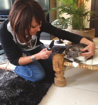 Pharmacie Vétérinaire à Domicile de Montpellier - Dr Lamure-Sauvaire 0