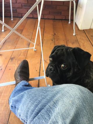 Pharmacie Pharmacie Asselin Scanu 0