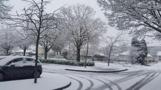 Pharmacie Pharmacie du Grand Sapaillé 0