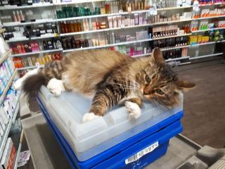 Pharmacie Pharmacie de la rivegauche 0