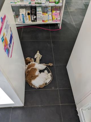 Pharmacie Aprium Grande Pharmacie des Halles 2