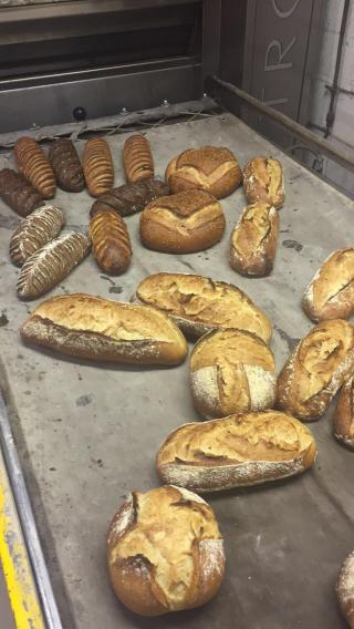 Pharmacie Collange Eric 0